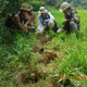 The Wildlife Conservation Society (WCS) team examining elephant tracks in Myanmar’s Htamanthi Wildlife Sanctuary.